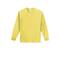 Port & Company® Color Long Sleeve Essential T-Shirt